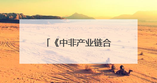 《中非产业链合作项目落地实施方案总纲》发布 数字化平台赋能非洲发展驶入快车道