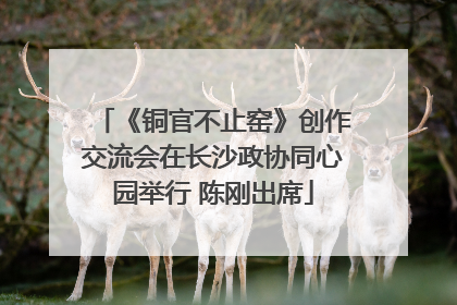 《铜官不止窑》创作交流会在长沙政协同心园举行 陈刚出席