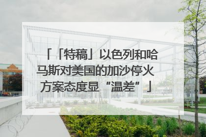 「特稿」以色列和哈马斯对美国的加沙停火方案态度显“温差”