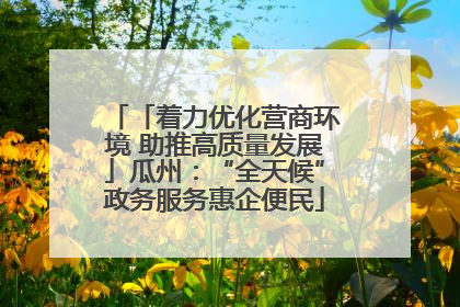 「着力优化营商环境 助推高质量发展」瓜州：“全天候”政务服务惠企便民
