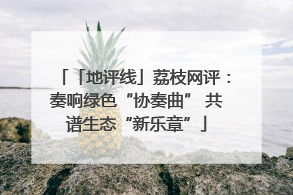 「地评线」荔枝网评：奏响绿色“协奏曲” 共谱生态“新乐章”
