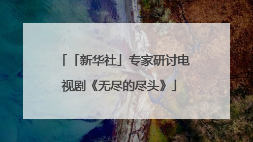 「新华社」专家研讨电视剧《无尽的尽头》