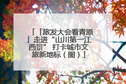 「旅发大会看青原」走进“山川第一江西景” 打卡城市文旅新地标（图）