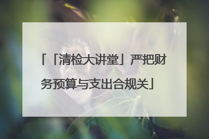 「清检大讲堂」严把财务预算与支出合规关