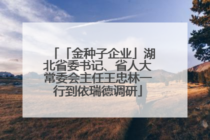 「金种子企业」湖北省委书记、省人大常委会主任王忠林一行到依瑞德调研