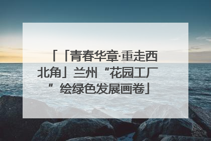 「青春华章·重走西北角」兰州“花园工厂”绘绿色发展画卷