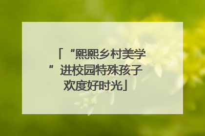 “熙熙乡村美学”进校园特殊孩子欢度好时光