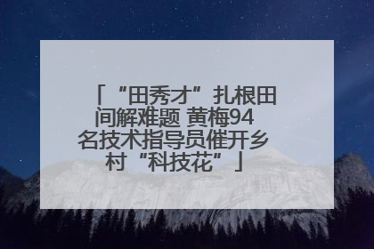 “田秀才”扎根田间解难题 黄梅94名技术指导员催开乡村“科技花”