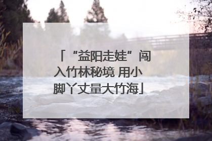 “益阳走娃”闯入竹林秘境 用小脚丫丈量大竹海