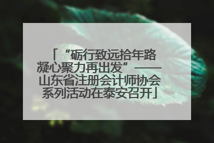“砺行致远拾年路 凝心聚力再出发”——山东省注册会计师协会系列活动在泰安召开