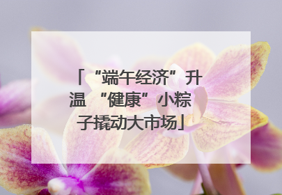 “端午经济”升温 “健康”小粽子撬动大市场