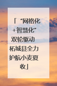 “网格化+智慧化”双轮驱动 柘城县全力护航小麦夏收