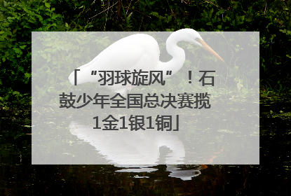 “羽球旋风”！石鼓少年全国总决赛揽1金1银1铜