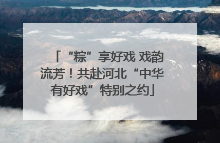 “粽”享好戏 戏韵流芳！共赴河北“中华有好戏”特别之约