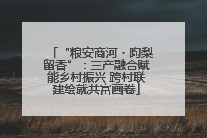 “粮安商河・陶梨留香”：三产融合赋能乡村振兴 跨村联建绘就共富画卷