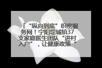 “纵向到底”织密服务网！宁阳堽城镇37支家庭医生团队“进村入户”，让健康政策“落地生根”