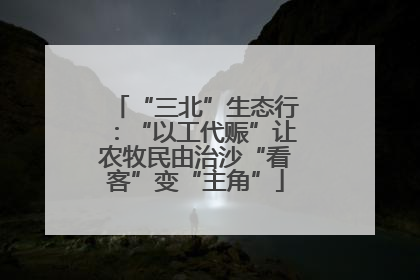 “三北”生态行：“以工代赈”让农牧民由治沙“看客”变“主角”