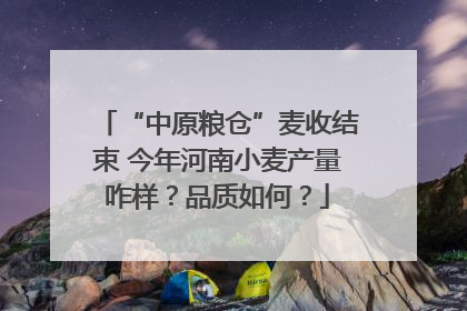 “中原粮仓”麦收结束 今年河南小麦产量咋样？品质如何？