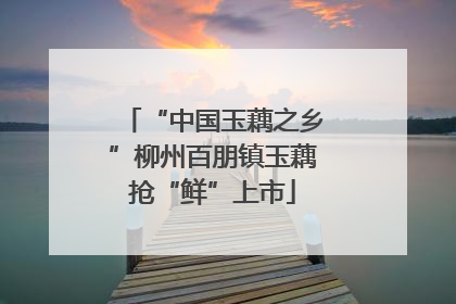 “中国玉藕之乡”柳州百朋镇玉藕抢“鲜”上市