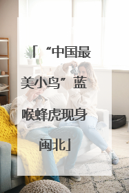 “中国最美小鸟”蓝喉蜂虎现身闽北