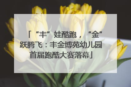 “丰”娃酷跑，“金”跃腾飞：丰金博苑幼儿园首届跑酷大赛落幕