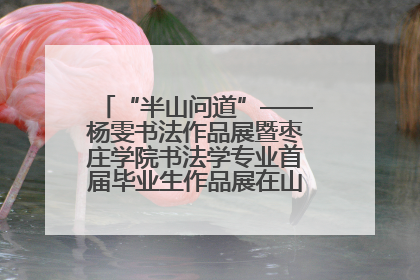 “半山问道”——杨雯书法作品展暨枣庄学院书法学专业首届毕业生作品展在山东省文化馆开幕