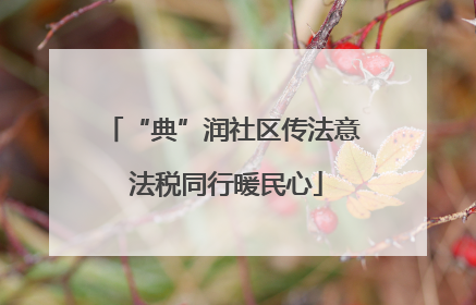 “典”润社区传法意 法税同行暖民心