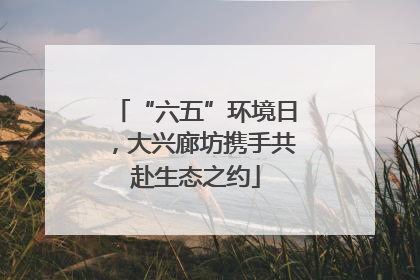 “六五”环境日，大兴廊坊携手共赴生态之约