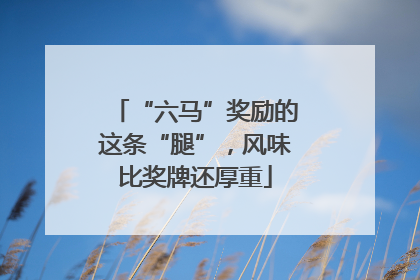 “六马”奖励的这条“腿”，风味比奖牌还厚重