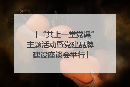 “共上一堂党课”主题活动暨党建品牌建设座谈会举行