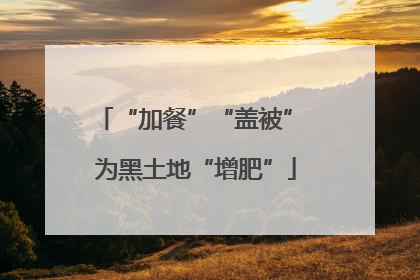 “加餐”“盖被” 为黑土地“增肥”