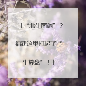 “北牛南调”？福建这里打起了“牛算盘”！