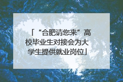 “合肥请您来”高校毕业生对接会为大学生提供就业岗位
