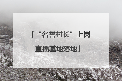 “名誉村长”上岗 直播基地落地