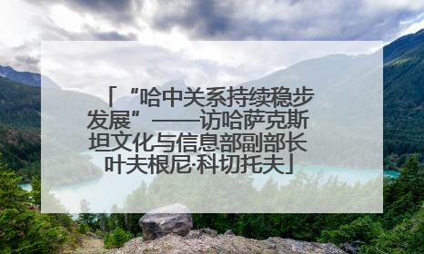 “哈中关系持续稳步发展”——访哈萨克斯坦文化与信息部副部长叶夫根尼·科切托夫