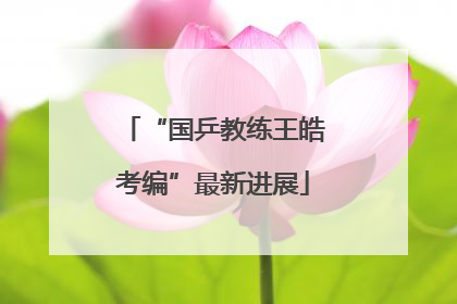 “国乒教练王皓考编”最新进展