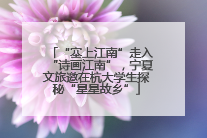 “塞上江南”走入“诗画江南”，宁夏文旅邀在杭大学生探秘“星星故乡”
