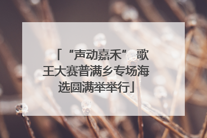 “声动嘉禾” 歌王大赛普满乡专场海选圆满举举行