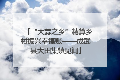 “大蒜之乡”精算乡村振兴幸福账——成武县大田集镇见闻