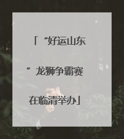 “好运山东”龙狮争霸赛在临清举办