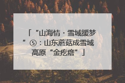 “山海情・雪域援梦”⑤：山东蘑菇成雪域高原“金疙瘩”