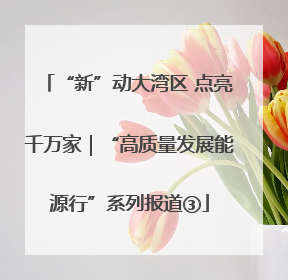 “新”动大湾区 点亮千万家｜“高质量发展能源行”系列报道③
