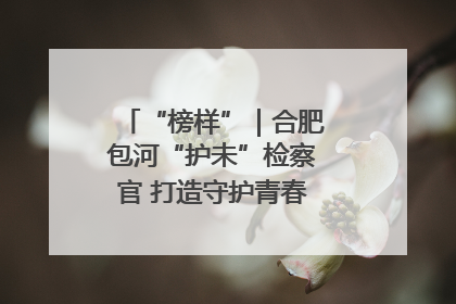 “榜样”｜合肥包河“护未”检察官 打造守护青春成长的永恒灯塔