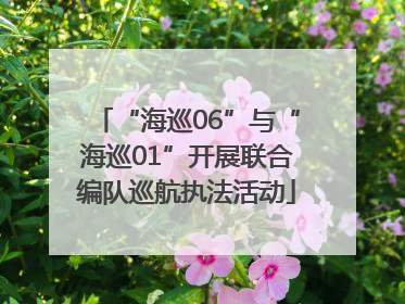 “海巡06”与“海巡01”开展联合编队巡航执法活动