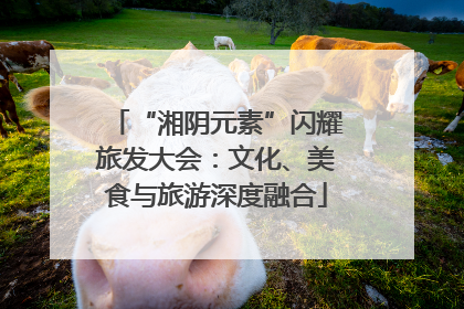 “湘阴元素”闪耀旅发大会：文化、美食与旅游深度融合