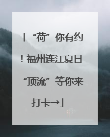 “荷”你有约！福州连江夏日“顶流”等你来打卡→