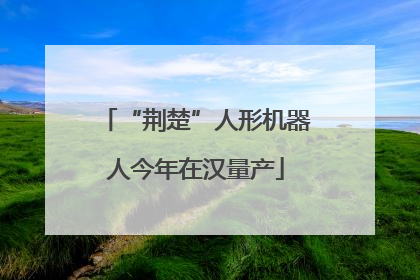 “荆楚”人形机器人今年在汉量产