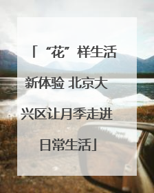 “花”样生活新体验 北京大兴区让月季走进日常生活