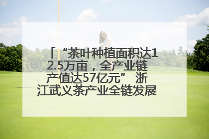 “茶叶种植面积达12.5万亩，全产业链产值达57亿元” 浙江武义茶产业全链发展“加速度”