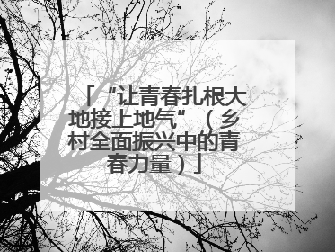 “让青春扎根大地接上地气”（乡村全面振兴中的青春力量）